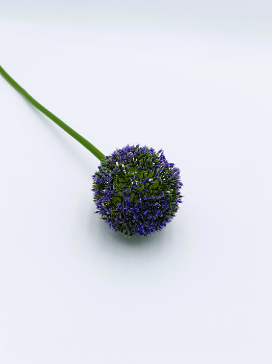 Allium artificiel en tige H 64cm